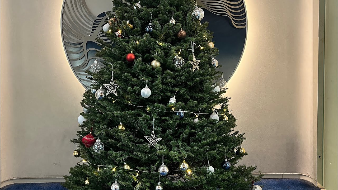 Merry Christmas 🎅💐everyone 🧑🏻‍🎄