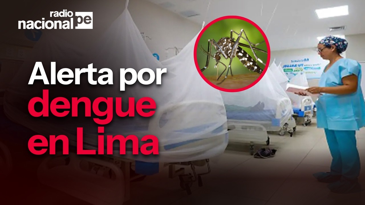 ¿Cómo prevenir el dengue en casa? Así puedes proteger a tu familia del zancudo transmisor