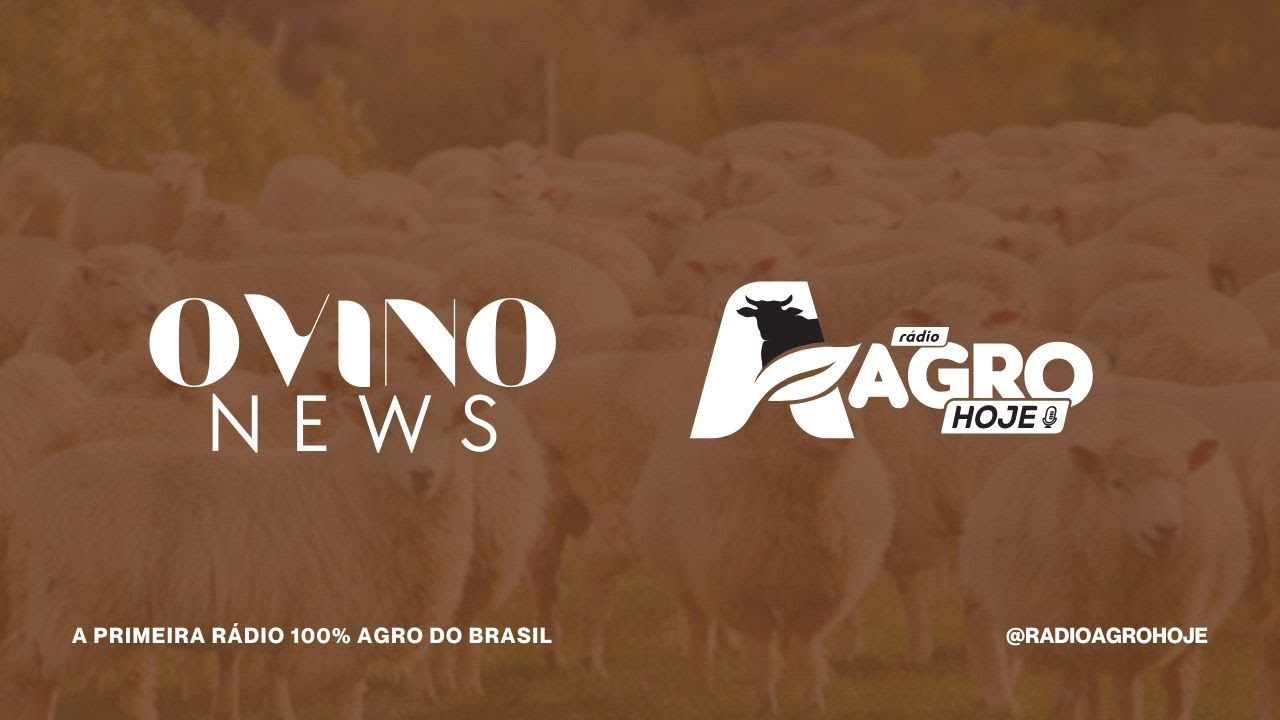 OVINO NEWS - 19/03/2026