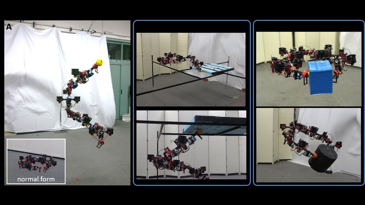 Versatile Articulated Aerial Robot DRAGON: Aerial Manipulation and Grasping by Vectorable Thrust