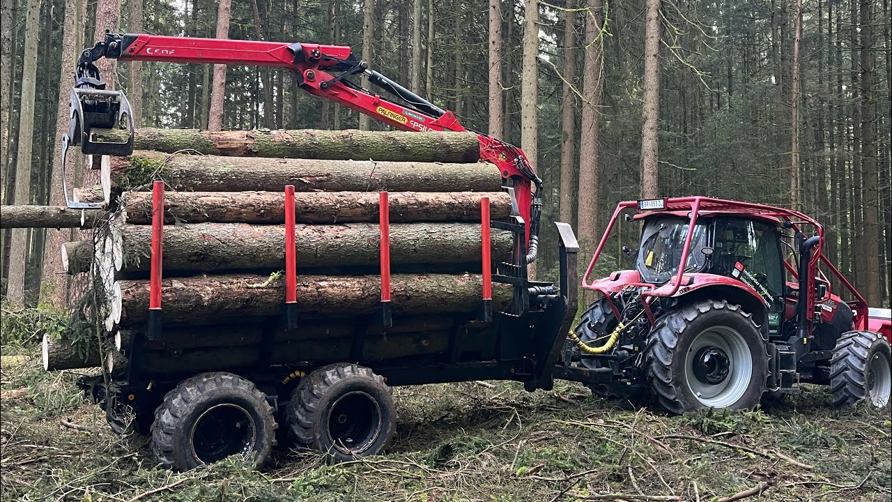 Eigenbau Rückewagen wieder im Volleinsatz I Frage Antwort im Wald