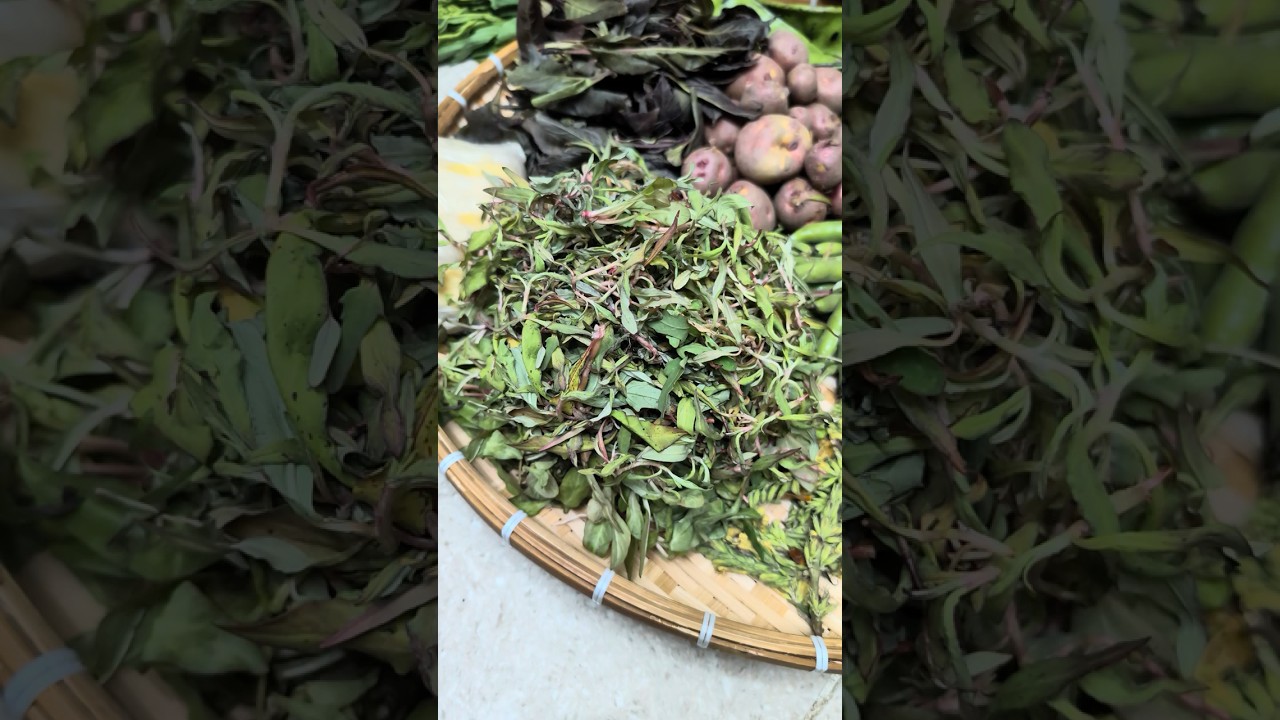 Best Winter Vegetables from Manipur just arrived 💪👍🙏