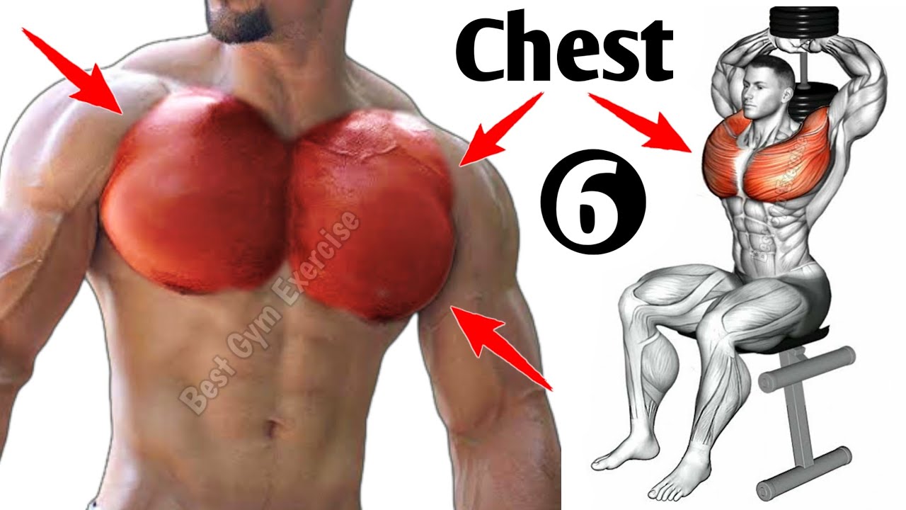 6 Best Exercises Big Chest Workout