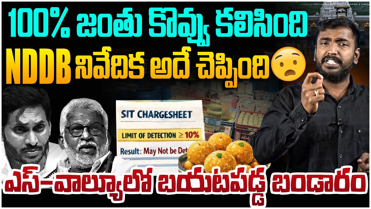 100% జంతు కొవ్వు జరిగింది😱 Analyst Sudhakar on NDDB Sensational Report Over TTD Ghee Adulteration