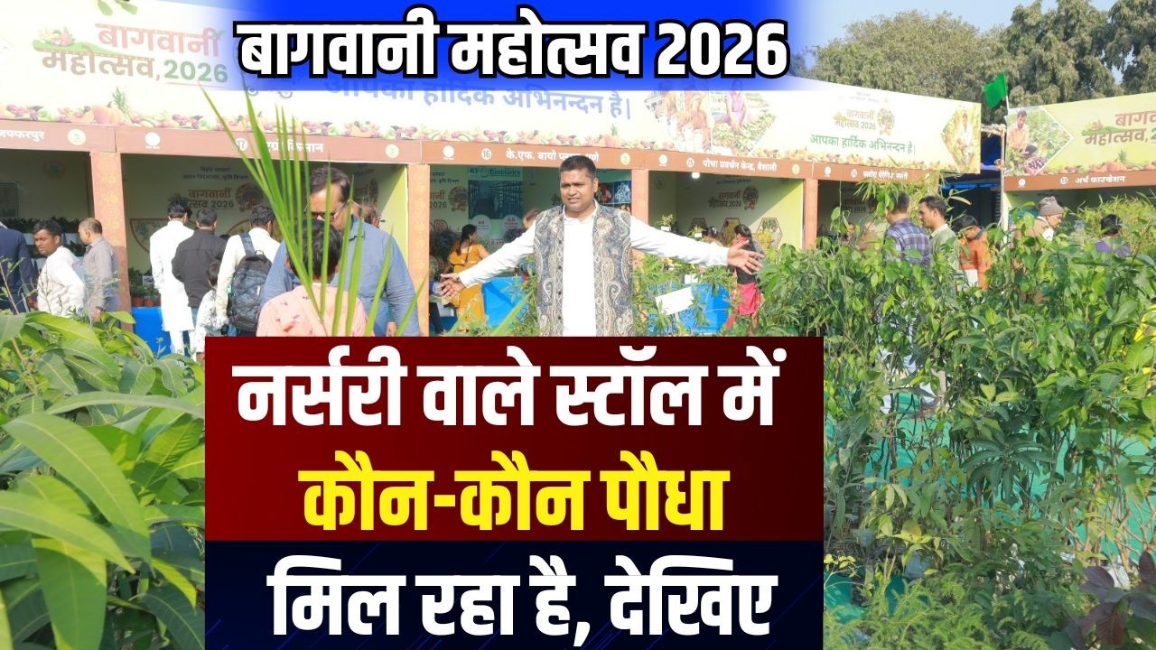 Bagwani Mahotsav 2026 : एक से बढ़कर एक पौधा मिल रहा है, खरीदना है क्या। Green Side