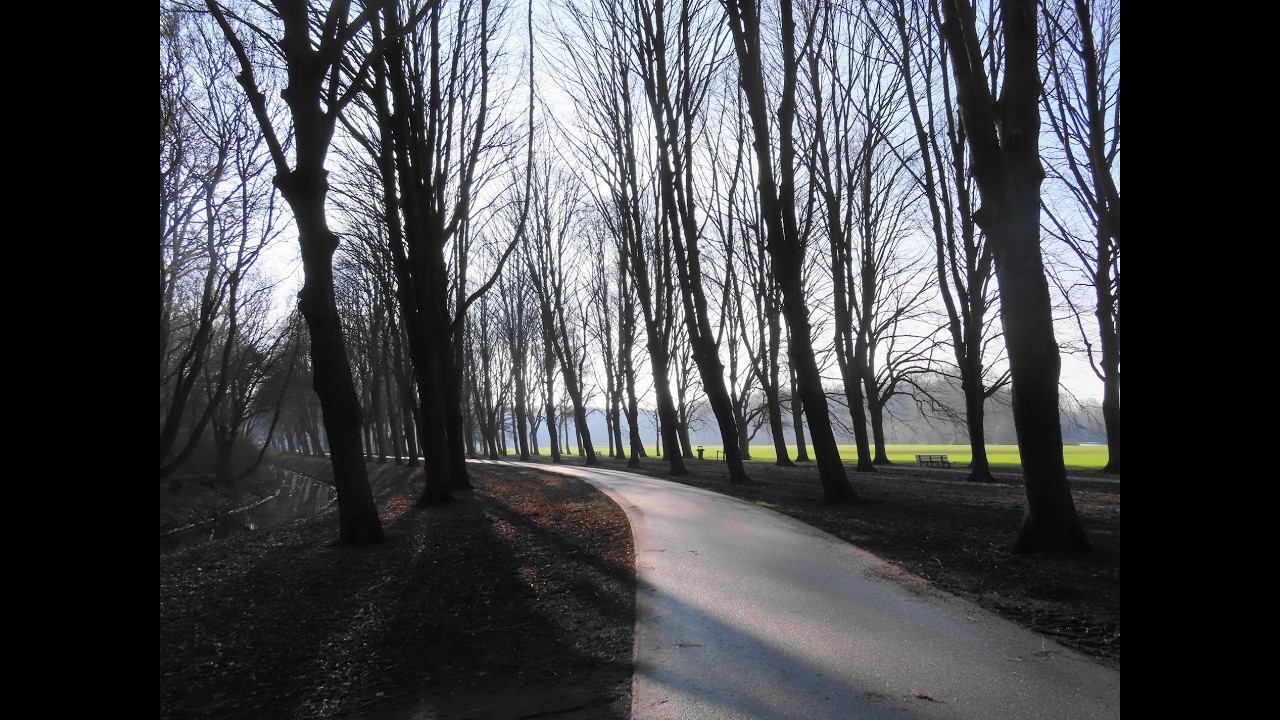 Een mooie winterdag in het Amsterdamse Bos  04-02-2026