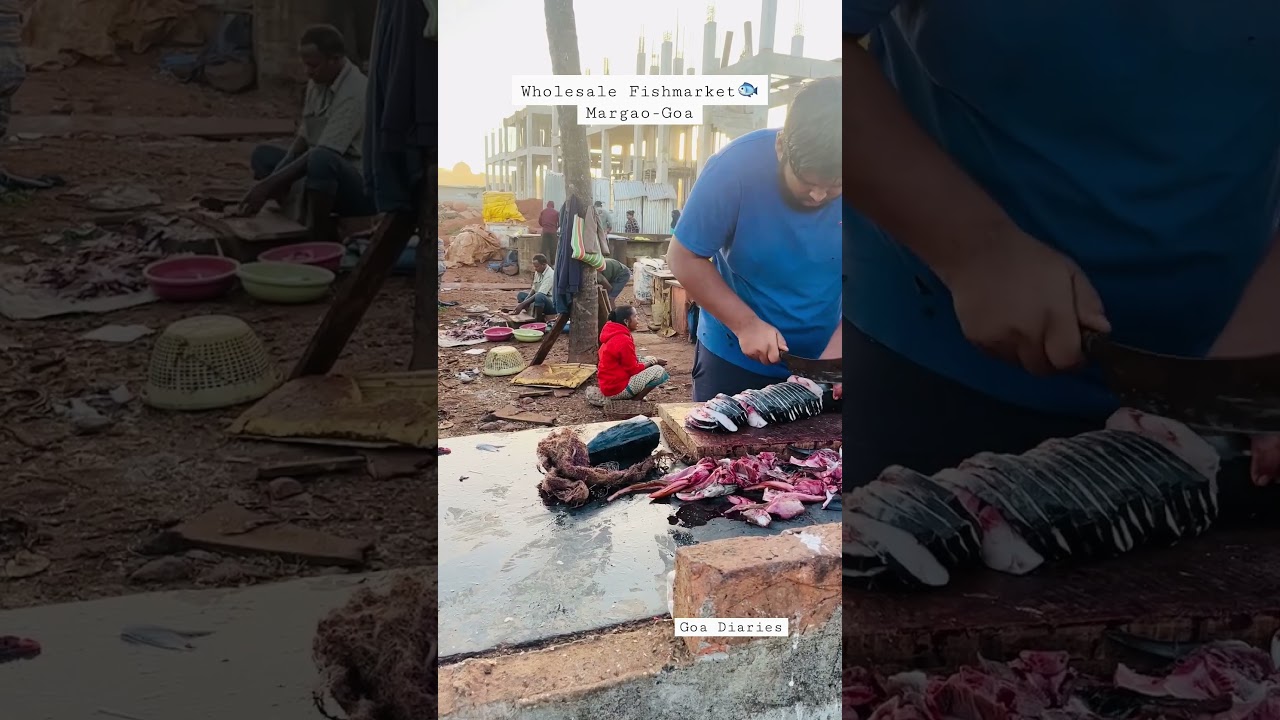 Wholesale Fishmarket | Kingfish | Near Margao KTC | Goa Diaries