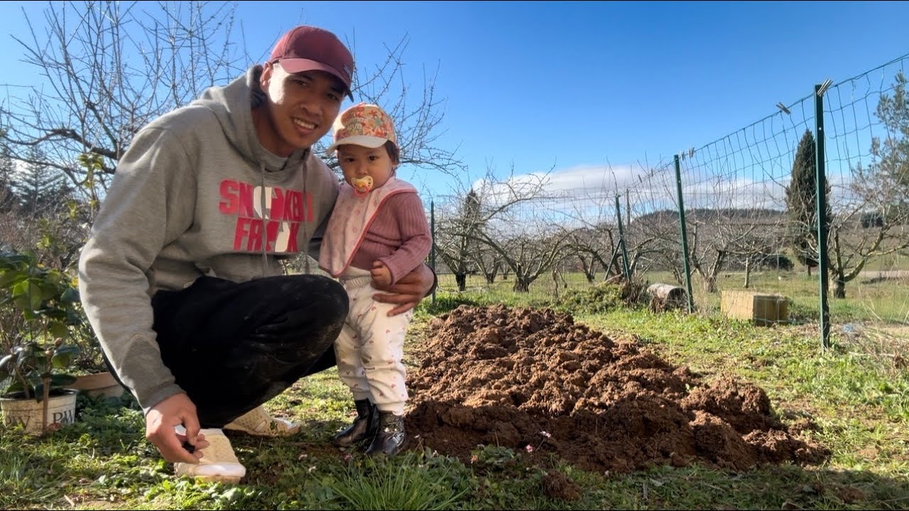 ĐẦU NĂM VỢ CHỒNG CÙNG CON GÁI RA LÀM VƯỜN P1 