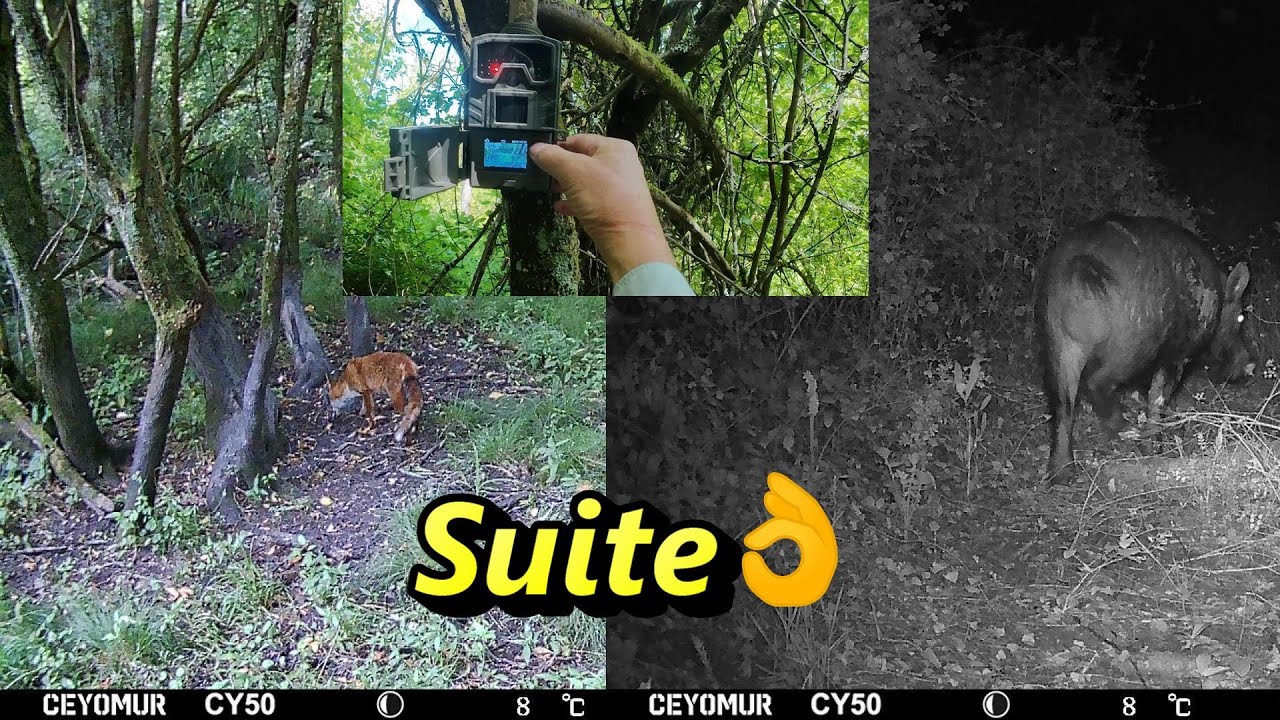 Caméra de Chasse: Ceyomur CY 50 à Petit Prix : Qualité d'Image et Fonctionnalités Surprenantes ! 👍