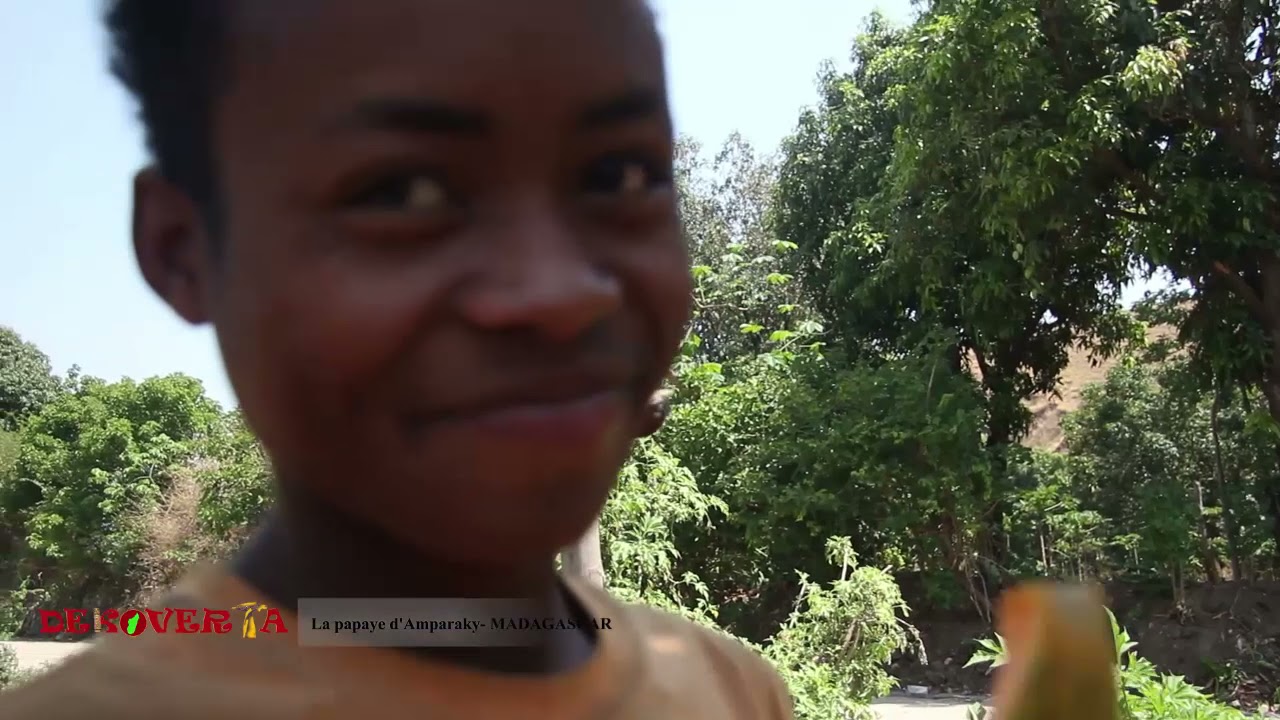 DEKOVERTA  La papaye de madagascar sur KANAL AUSTRAL.TV