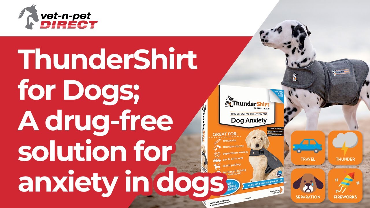 ThunderShirt For Dogs; A drug-free solution for anxiety in dogs