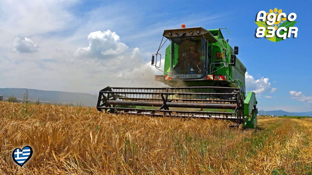 Συγκομιδή Κριθάρι 2020 ✈️ - Barley harvest ✌🏽