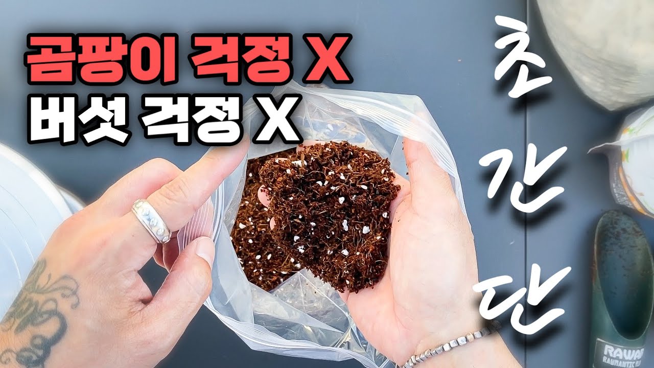 초간단! 배합용 신선한 상토 만들기 / 식물키우기 배양토