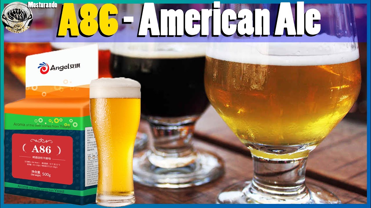Levedura A86 American Ale!! Projetada na California e feita na China!!