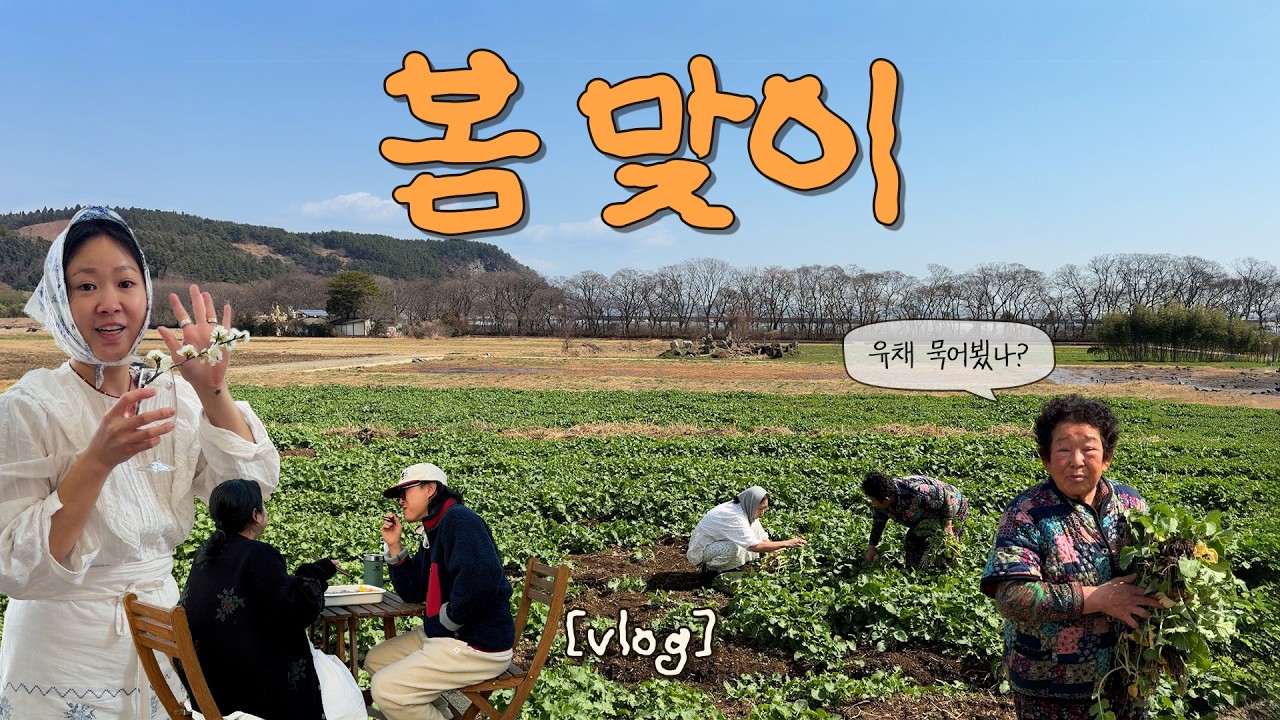 시골에선 봄동 말고 유채비빔밥 & 봄바람 경주여행 (유채비빔밥, 시금치 된장국, 더블쿼파치 BBQ, 맥도날드, 시금치 김밥, 묵은지참치 김밥, 시금치 오믈렛, 맷돌순두부, 크라상)