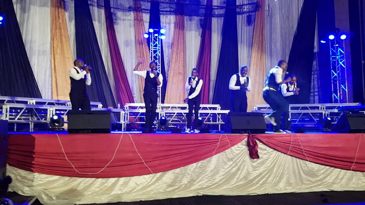 Reality 7 in Zim