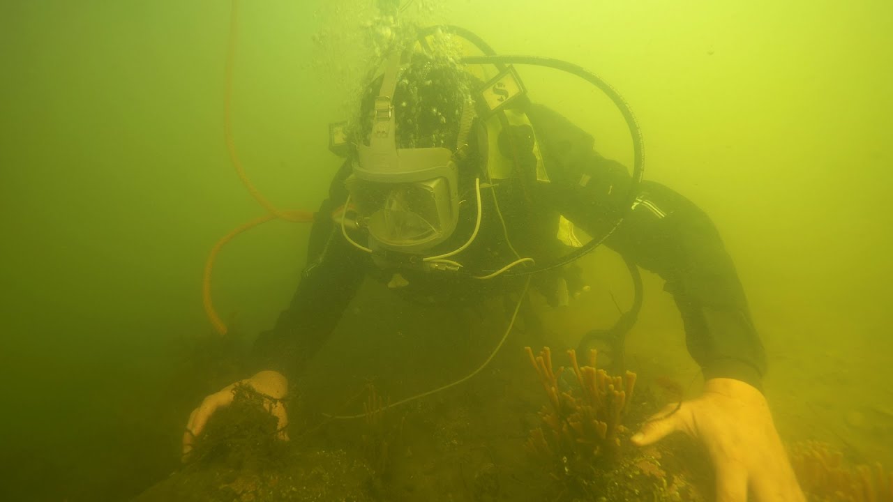 På miljøundersøgelser i Limfjorden med Naturstyrelsen
