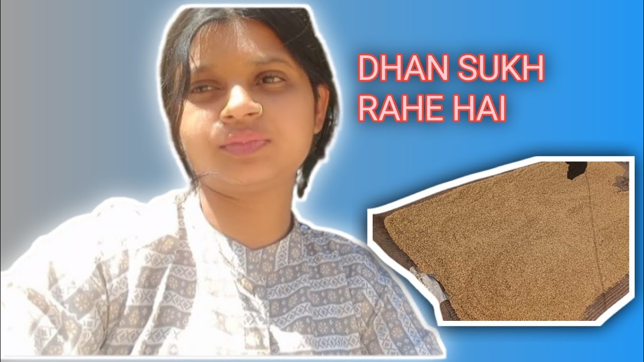 ARWA CHWAL KE LIYE DHAN SUKH RAHE HAI 
