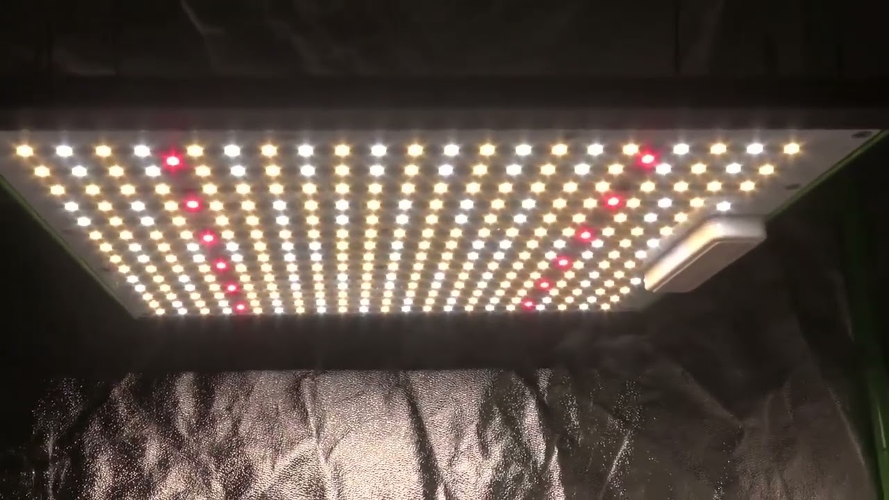 VIPARSPECTRA P1000 LED Grow Light for Indoor Plants Full Spectrum for Grow Tent Review