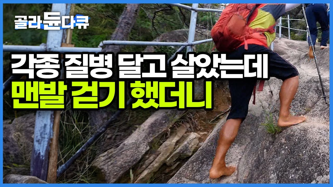 매일 아침 맨발 걷기를 하고 1년도 채 되지 않아서 먹던 약을 모두 끊을 정도로 건강을 회복했다! 이젠 험하다는 월출산 등반까지 하는 사람들｜맨발걷기 동호회｜한국기행｜#골라듄다큐