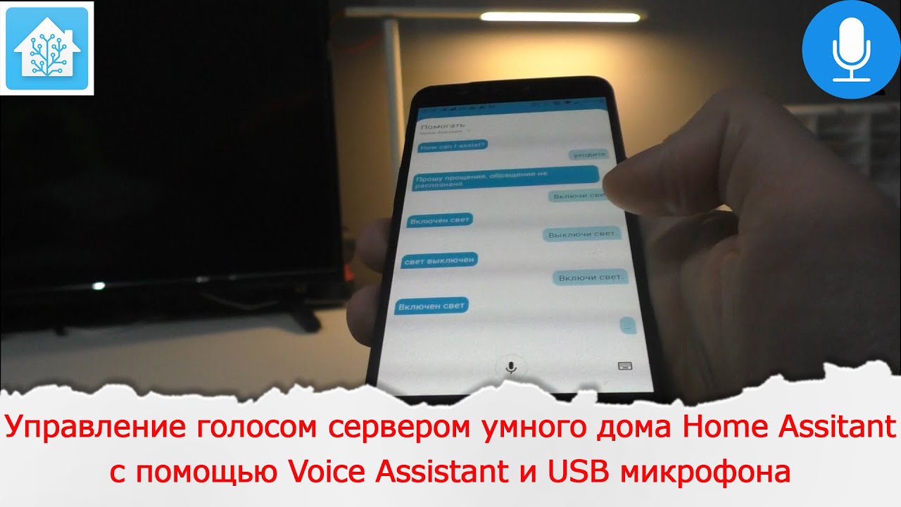 Управление голосом сервером умного дома Home Assitant с помощью Voice Assistant и USB микрофона
