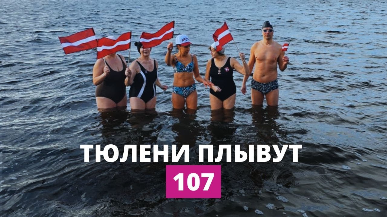 Как прошел праздничный заплыв моржей