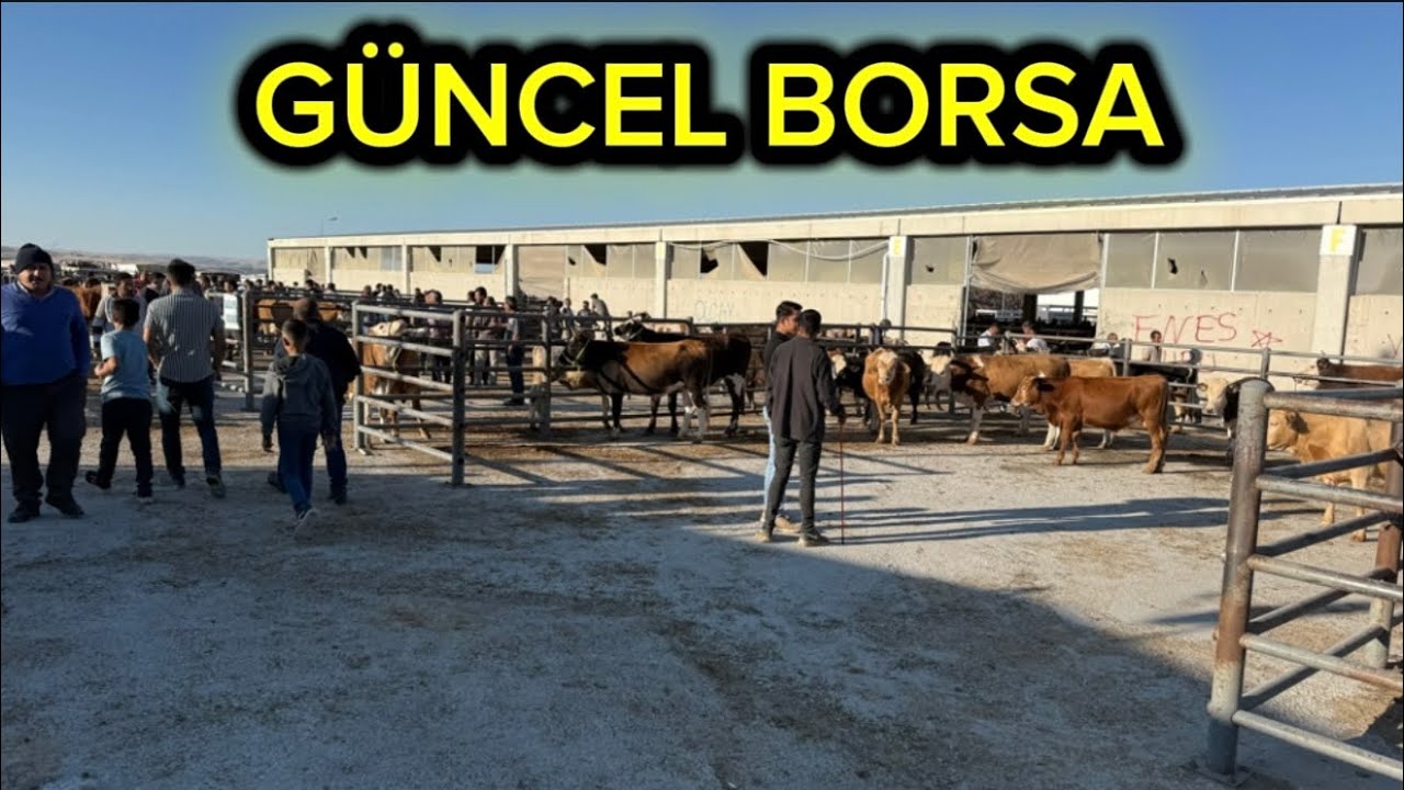 ÇUBUK HAYVAN PAZARI 28 AĞUSTOS 