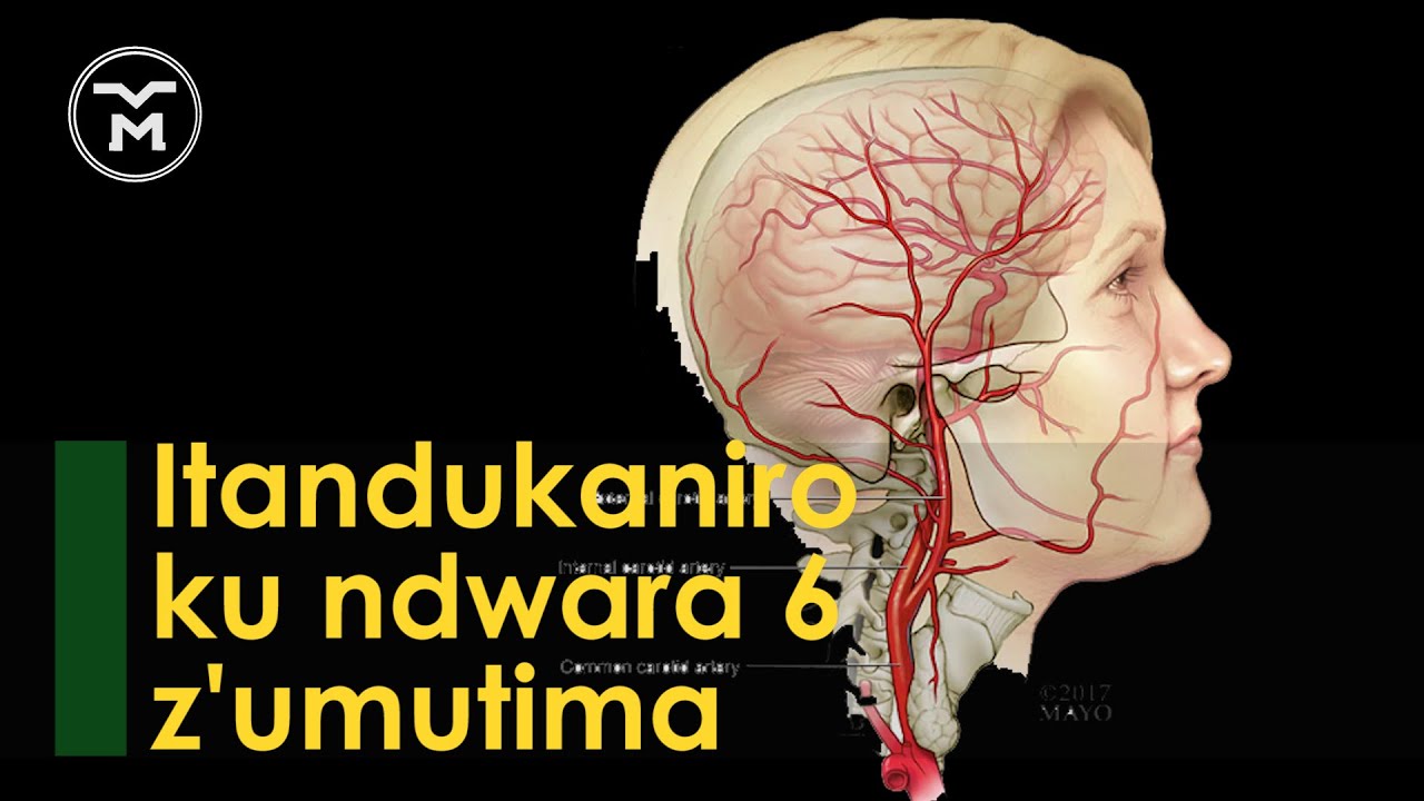 00198: INDWARA 6 Z’UMUTIMA || AHO ZITANDUKANIYE || IKIZITERA || IBIMENYETSO BYAZO || UKO WAKWIRINDA