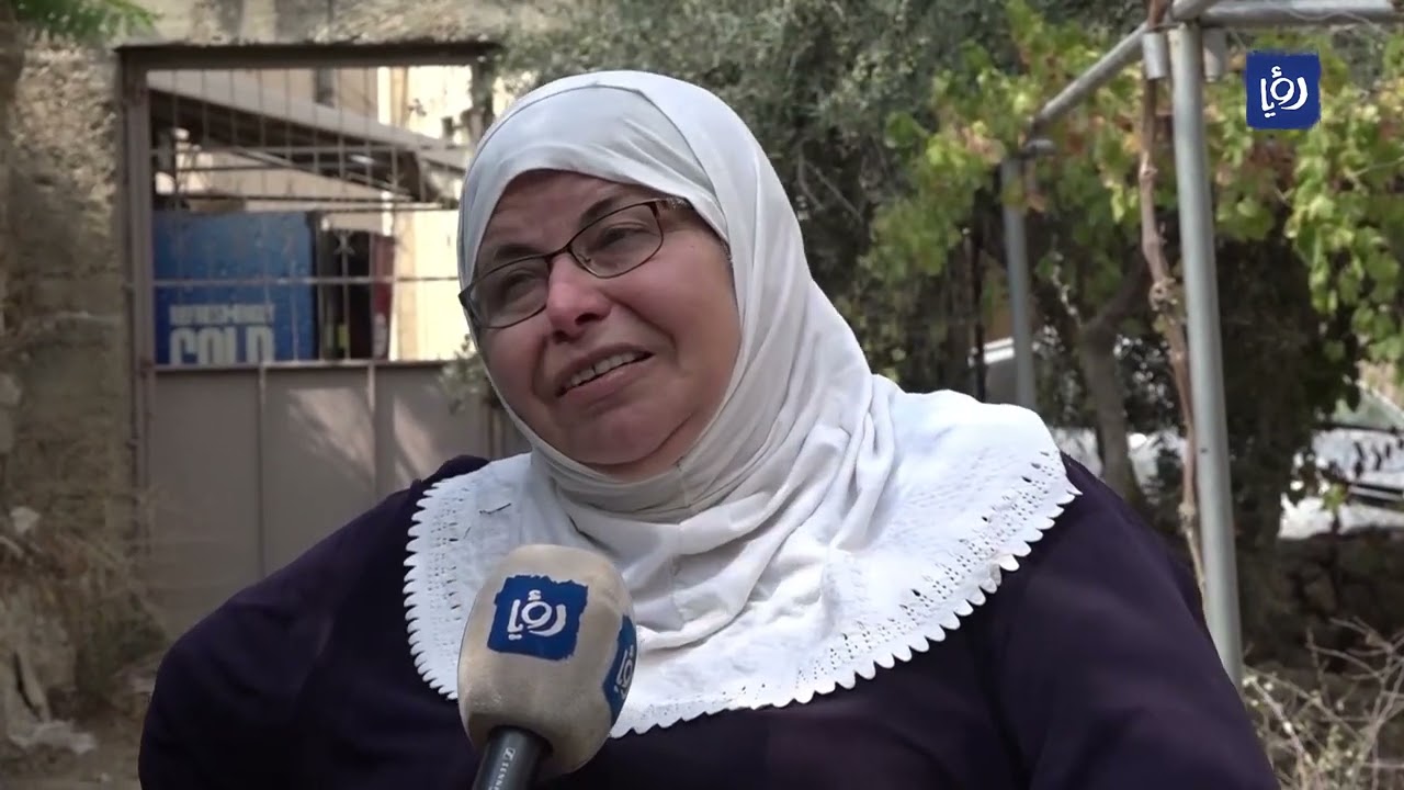 فلسطين شجرة الزيتون  صراع بين صمود هناء والمحتلين في تل الرميد