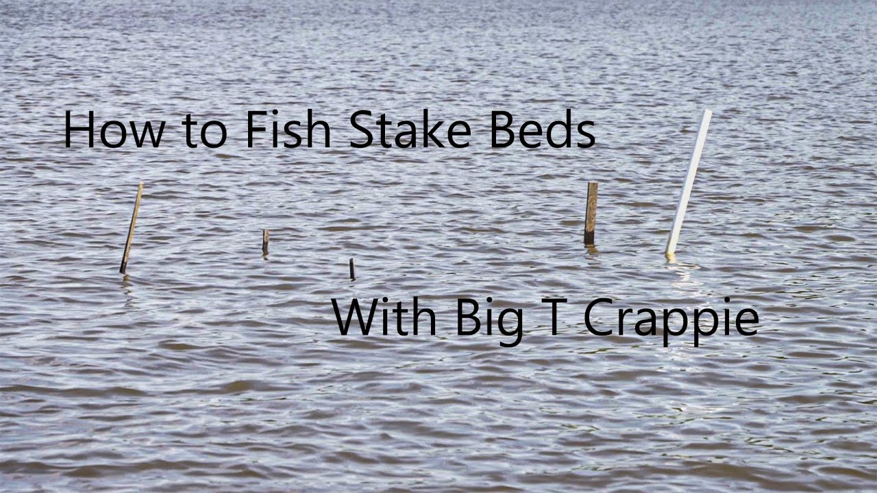 Fishing Stake Beds for Spawning Crappie