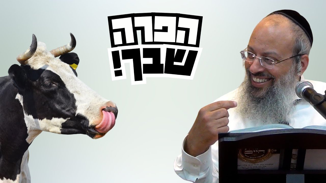 פרשת חקת | תפסיק לרצות את כולם | מה עושים כשאתה מלא פגמים וכאבים ᴴᴰ