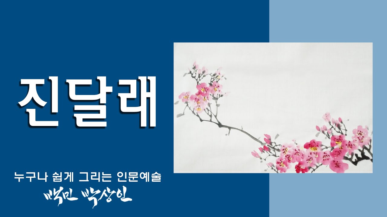 백민 박상인의 문인화 교실 제 32회: 진달래 그리기