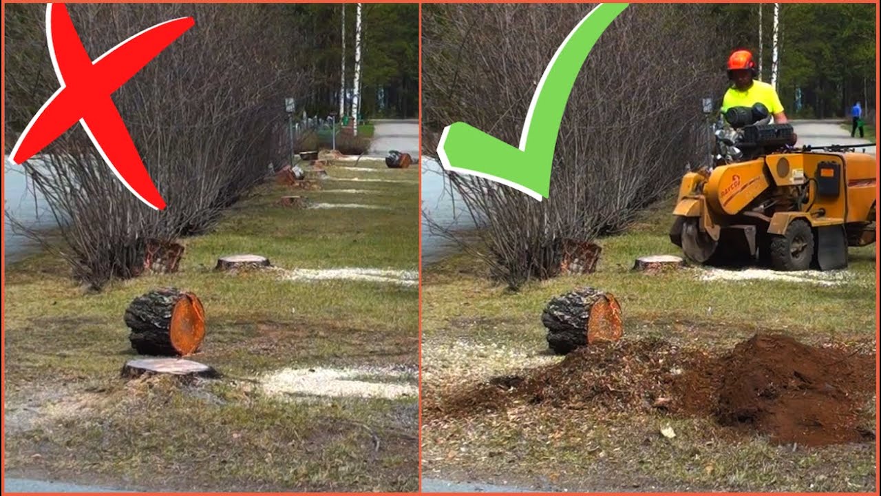 ПРОФЕССИОНАЛЬНОЕ УДАЛЕНИЕ ПНЕЙ С ПОМОЩЬЮ ПНИ RAYCO RG 1635