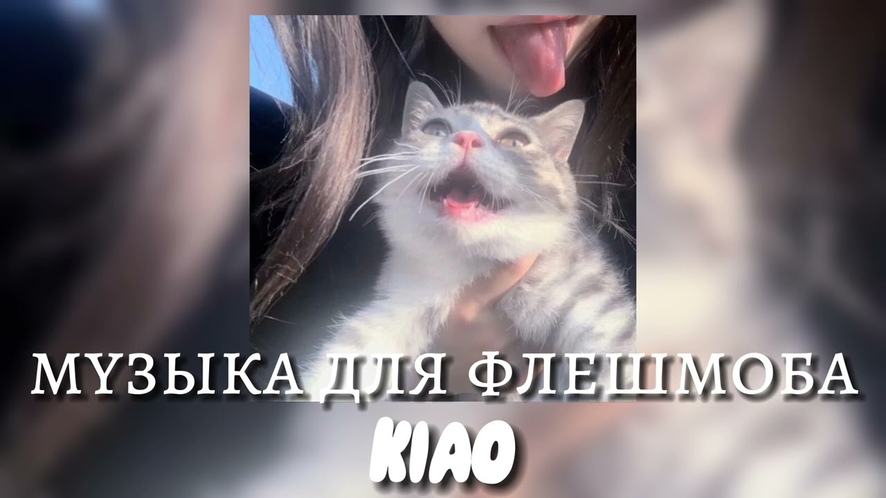 музыка для флешмоба😽