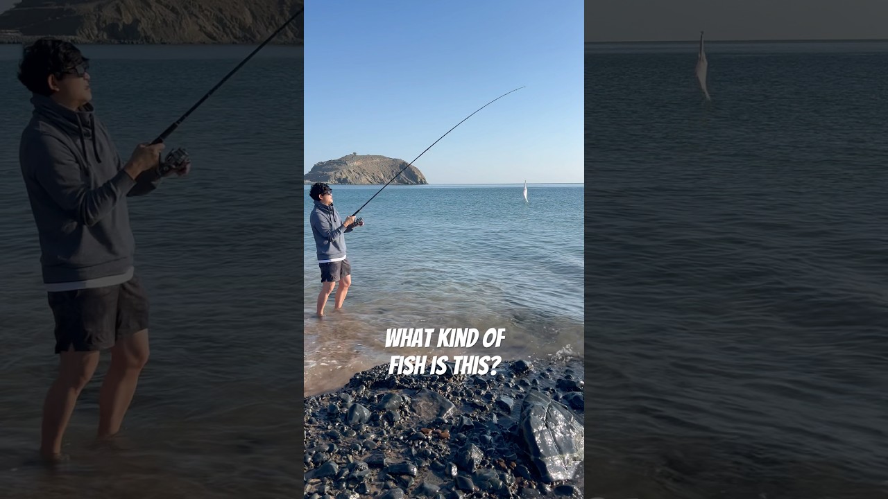 oh WOW! What kind of fish? #fishing #shorecasting #fishinggear #beachfishing  #lurefishing  #wow