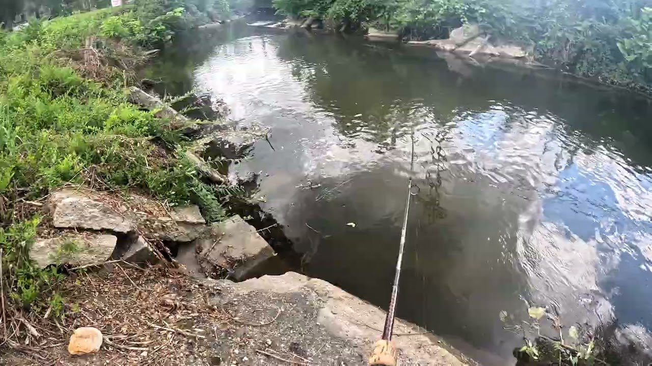 Dowagiac Michigan is a Fisherman's Paradise :)