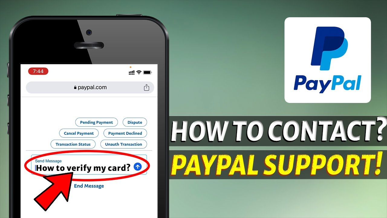 How to Contact PayPal Customer Support by Phone (2024)