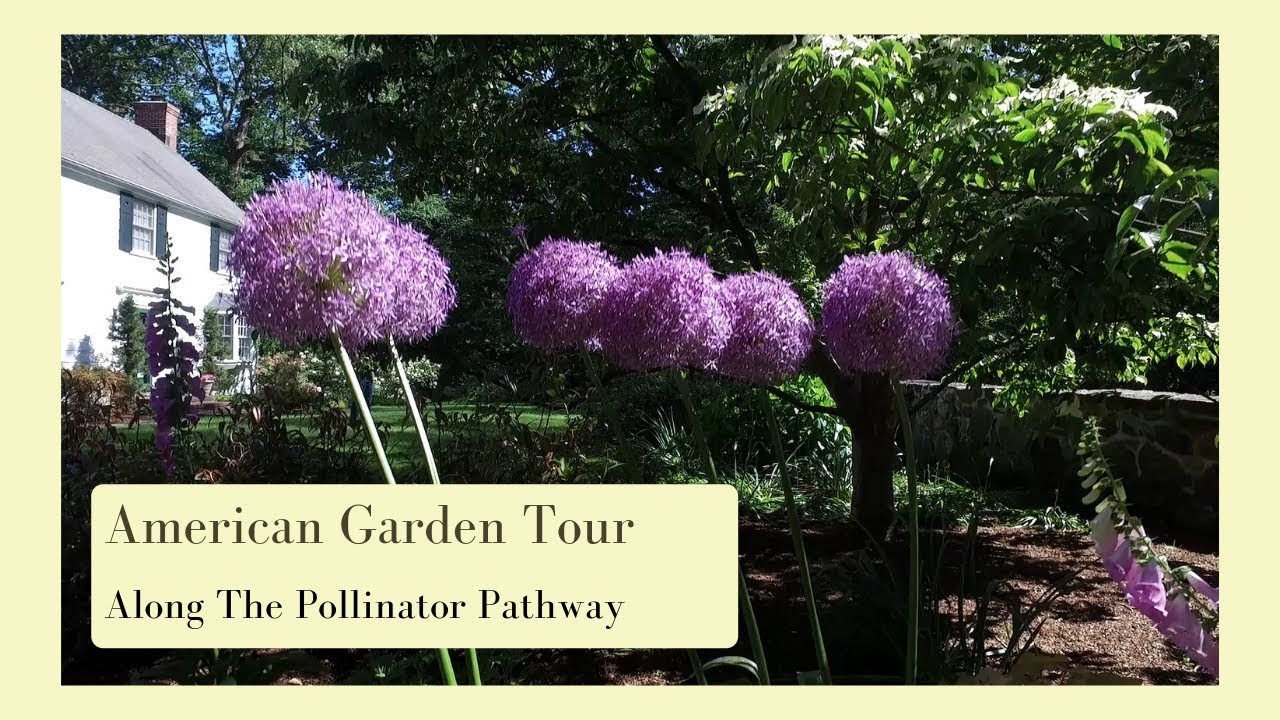 American Garden Tour Along The Polinator Pathway