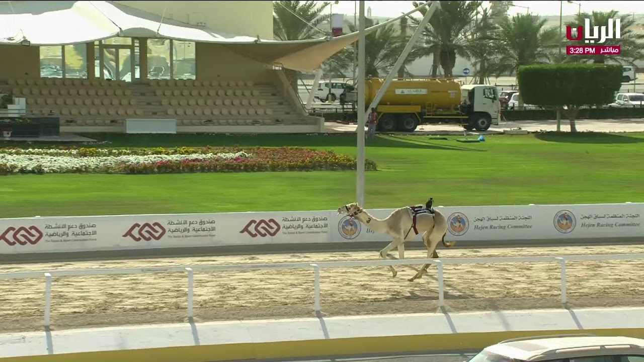بث مباشر | مهرجان سيف صاحب السمو الأمير الوالد الشيخ حمد بن خليفة آل ثاني
