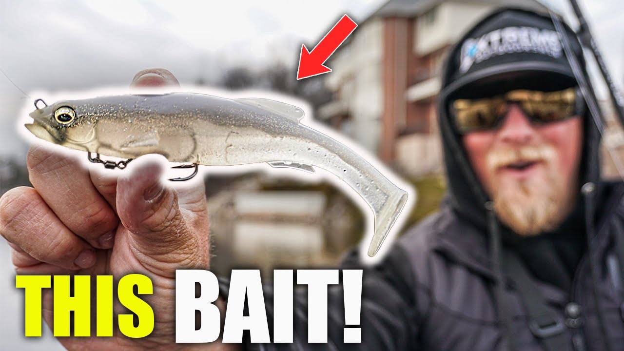 This BIG Swimbait Caught My Biggest Bass of the Season!