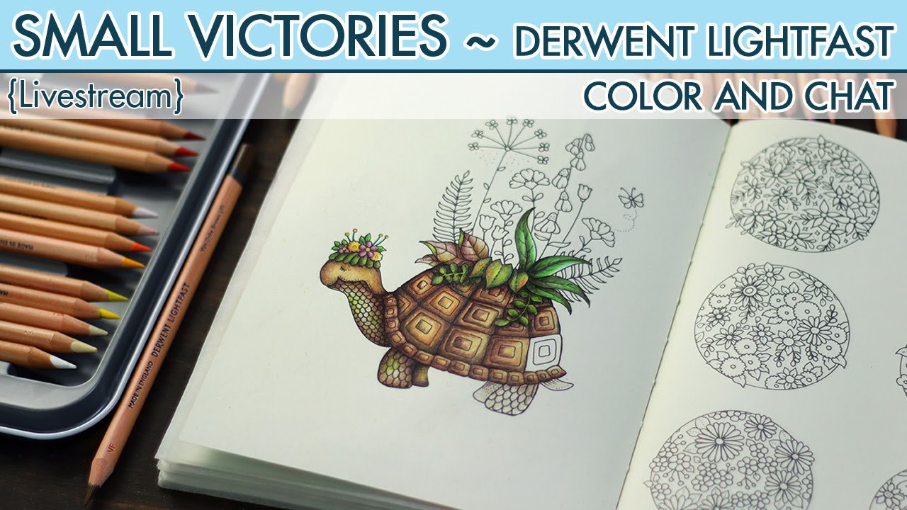 {LIVESTREAM} Pt. 2 ~ Small Victories ~ Tortoise ~ Derwent Lightfast