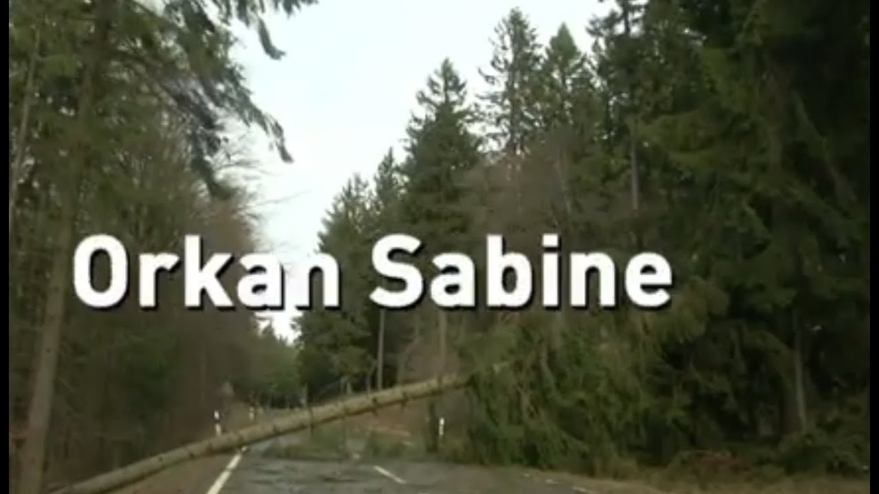 Orkantief Sabine: So heftig hat das Unwetter Hessen erwischt | maintower