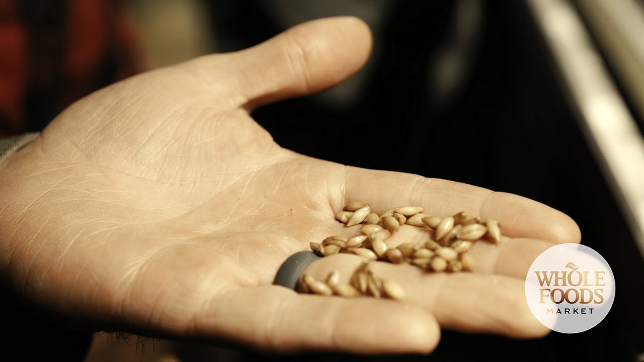 A Million Pounds and Counting: Allagash Brewing’s commitment to Maine-Grown Grain|Whole Foods Market