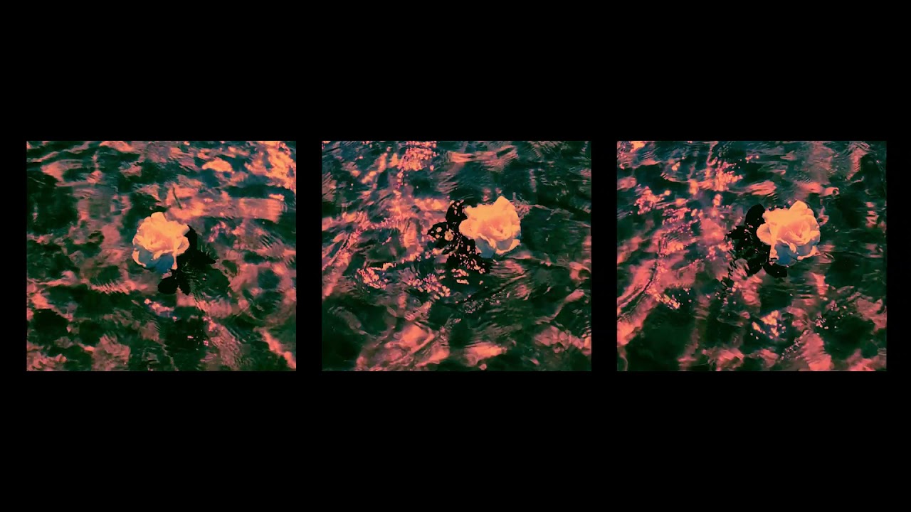 edapollo 'Wildflower' (Official Visualiser)