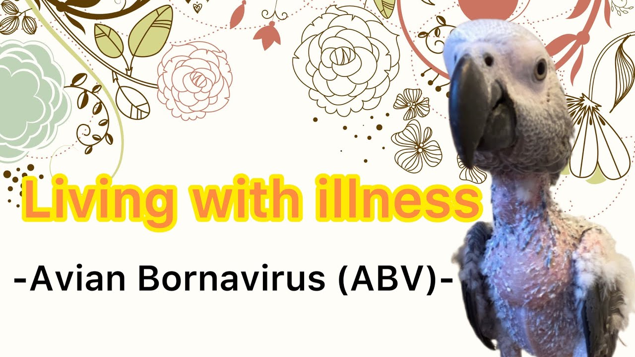 【Avian  Bornavirus(ABV)】