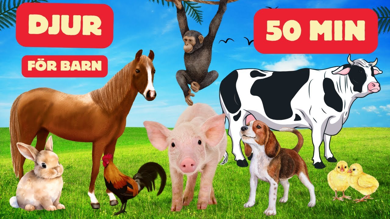 Lär Dig Namn På Djur - Svenska För Barn 50 Min