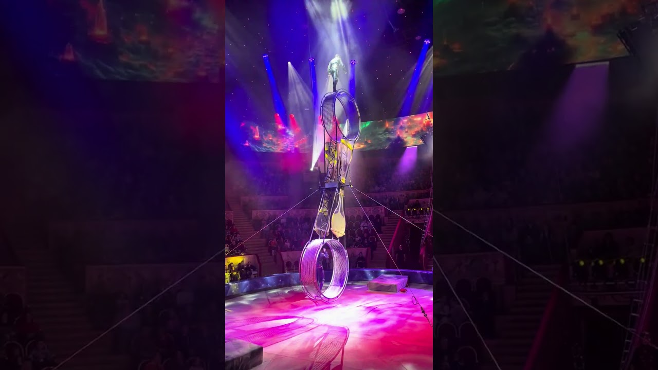 Nikulin circus SPB 2026 👍