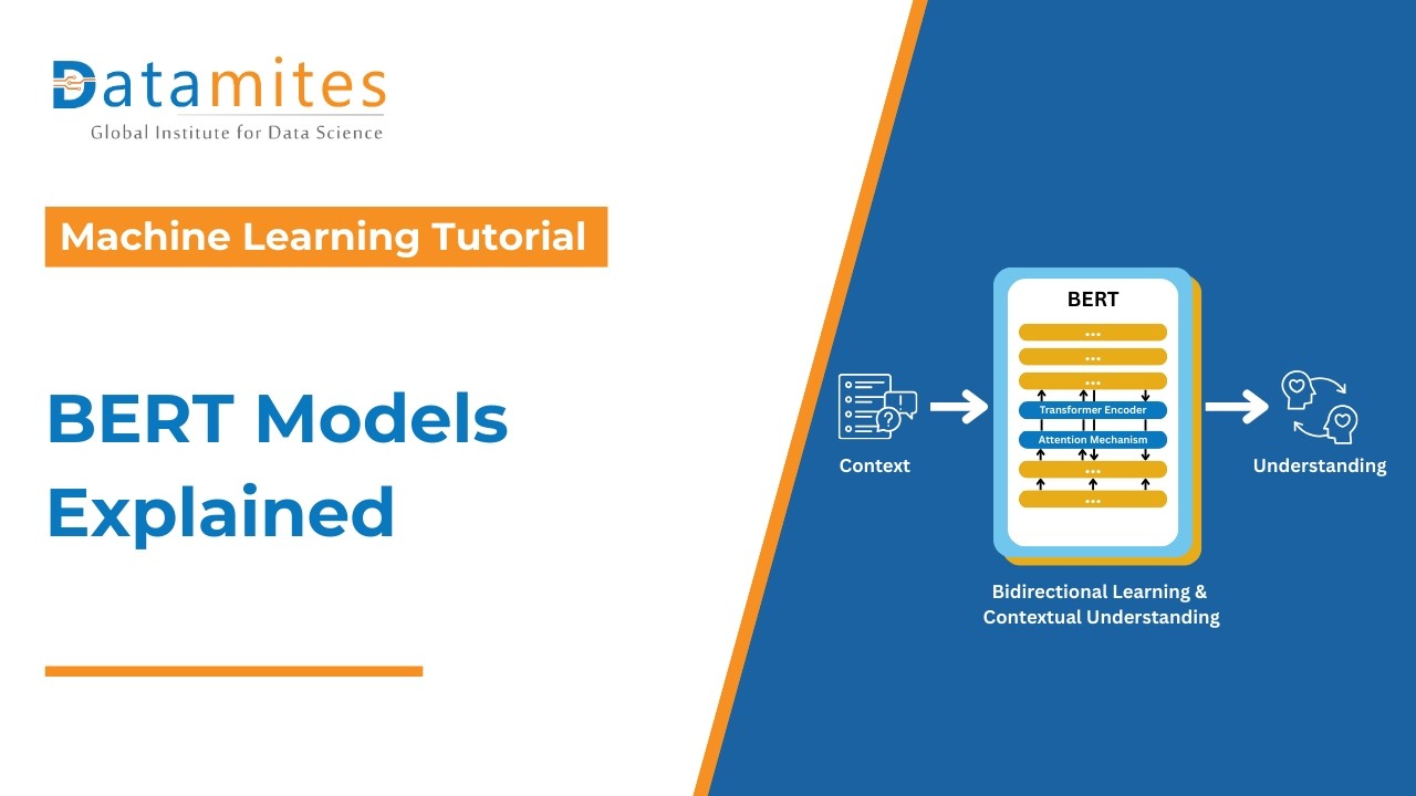 Exploring BERT Versions Complete NLP Model Guide | Datamites