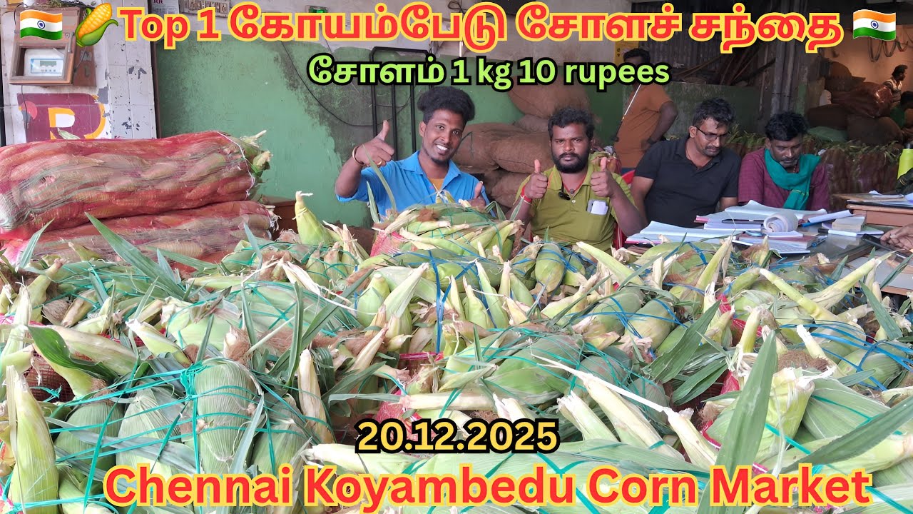 💥🌽 Corn Market | Chennai Corn market | Koyambedu Corn market | Sweet Corn #trending #koyambedumarket