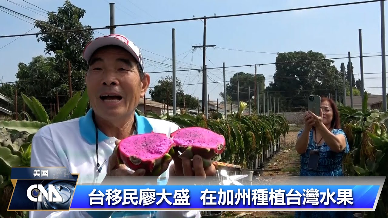 台移民廖大盛 在加州種植台灣水果｜中央社影音新聞